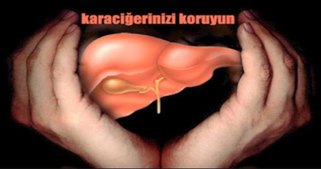 sagligagel-karaciger-yaglanmasina-ne-iyi-gelir-karaciger-yaglanmasi-kuru-karaciger-yaglanmasi-belirtileri-nelerdir6