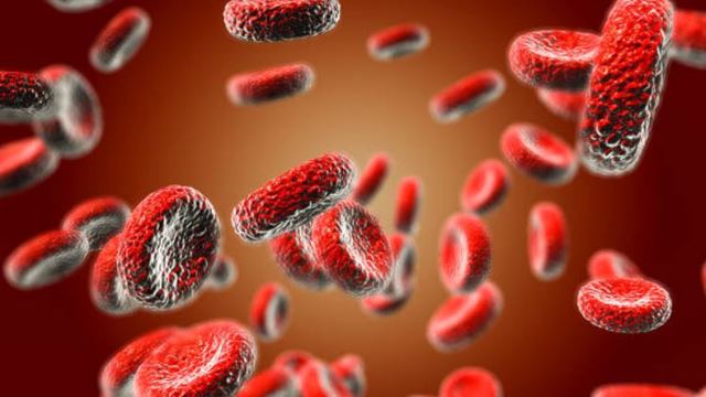 sagligagel-ferritin-nedir-ferritin-eksikligi-neden-olur