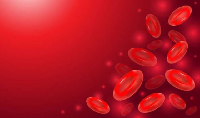 sagligagel-ferritin-nedir-ferritin-eksikligi-neden-olur78
