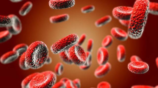 sagligagel-ferritin-nedir-ferritin-eksikligi-neden-olur9
