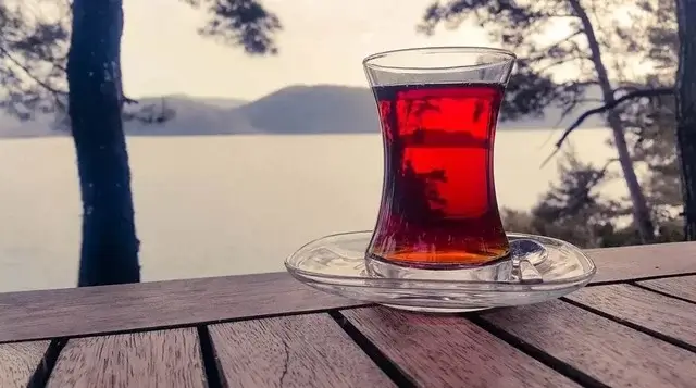 sagligagel-cayin-faydalari-ve-zararlari-nelerdir-1