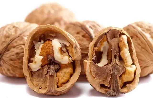 sagligagel-yas-cevizin-faydalari-nelerdir