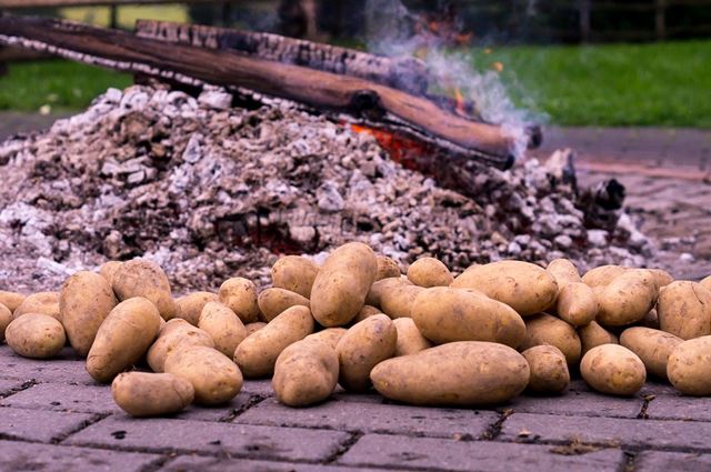 sagligagel-ici-yumusacik-firinda-patates-kozleme9