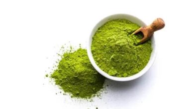 sagligagel-mucizevi-moringa-bitkisi-faydalari-nelerdir