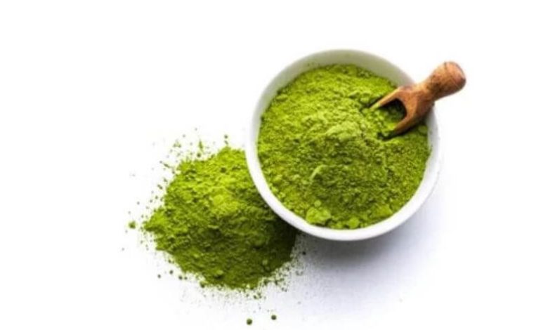 sagligagel-mucizevi-moringa-bitkisi-faydalari-nelerdir