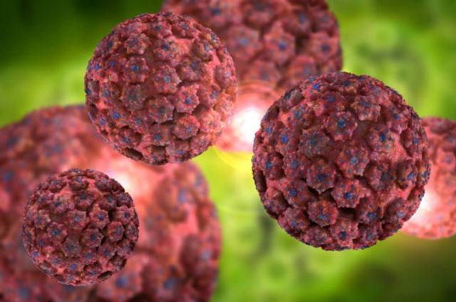 sagligagel-tehlikeli-hpv-virusu-nedir-hpv-virusu-tedavisi2