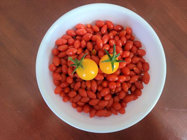 sagligagel-goji-berry-meyvesi-nedir-11-adet-goji-berry-meyvesi-faydalari-nelerdir2