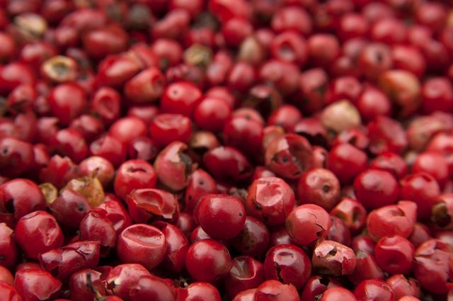 sagligagel-goji-berry-meyvesi-nedir-11-adet-goji-berry-meyvesi-faydalari-nelerdir7