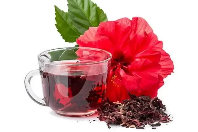 sagligagel-hibiskus-cayi-nasil-yapilir-7