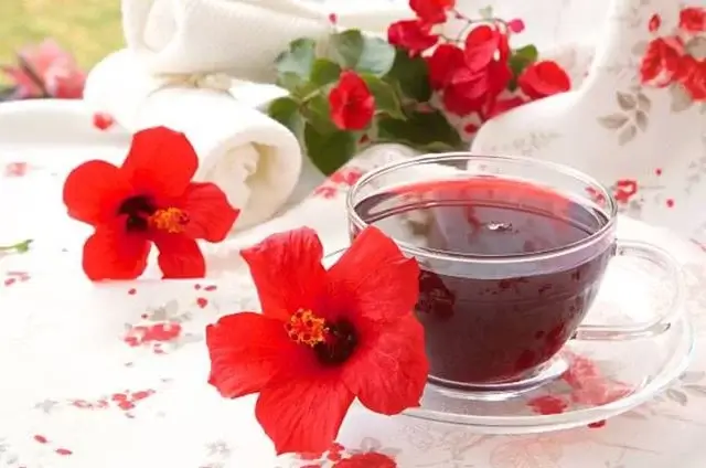 sagligagel-hibiskus-cayi-nasil-yapilir-8