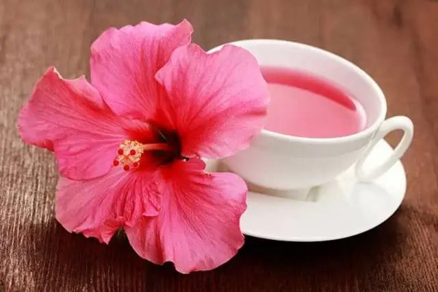 sagligagel-hibiskus-cayi-nasil-yapilir-7