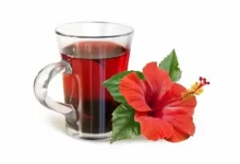 sagligagel-hibuskus-cayi-nasil-yapilir-5-kotu-hibiskus-cayi-zararlari89