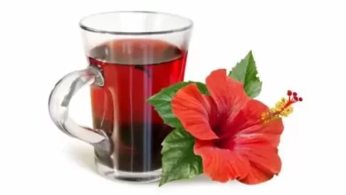 sagligagel-hibuskus-cayi-nasil-yapilir-5-kotu-hibiskus-cayi-zararlari89