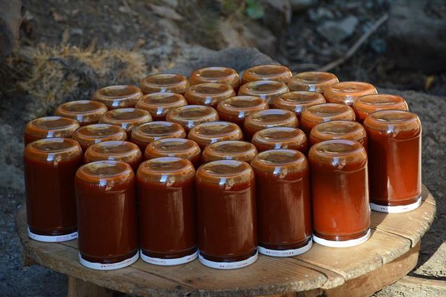 sagligagel-kusburnu-faydalari-nelerdir-7-adet-kusburnu-faydalari-saracoglu-tarafindan-oneriliyor1