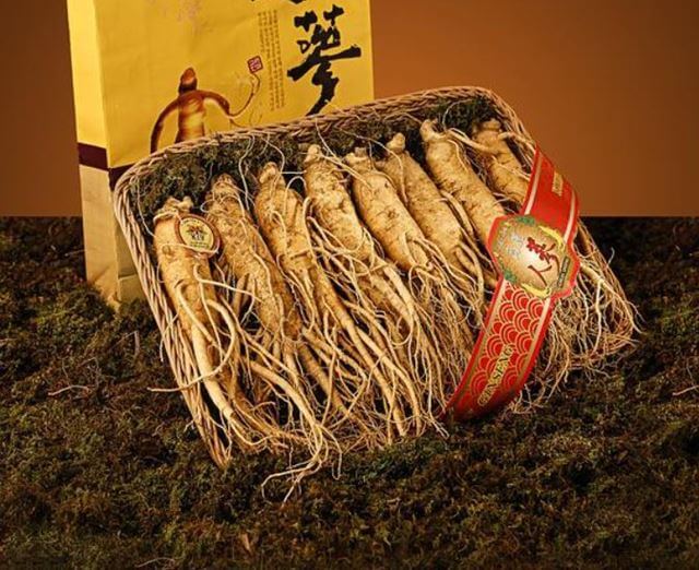 sagligagel-ginseng-nedir-nasil-kullanilir-ve-ginseng-nedir-cinsel-5-etkisi1