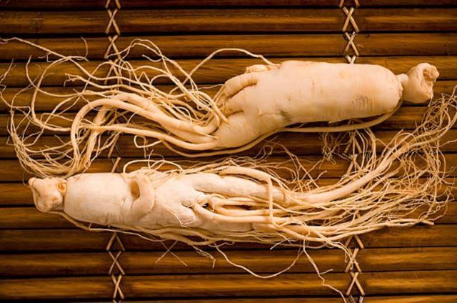 sagligagel-ginseng-nedir-nasil-kullanilir-ve-ginseng-nedir-cinsel-5-etkisi2