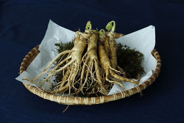 sagligagel-ginseng-nedir-nasil-kullanilir-ve-ginseng-nedir-cinsel-5-etkisi3