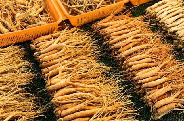 sagligagel-ginseng-nedir-nasil-kullanilir-ve-ginseng-nedir-cinsel-5-etkisi5