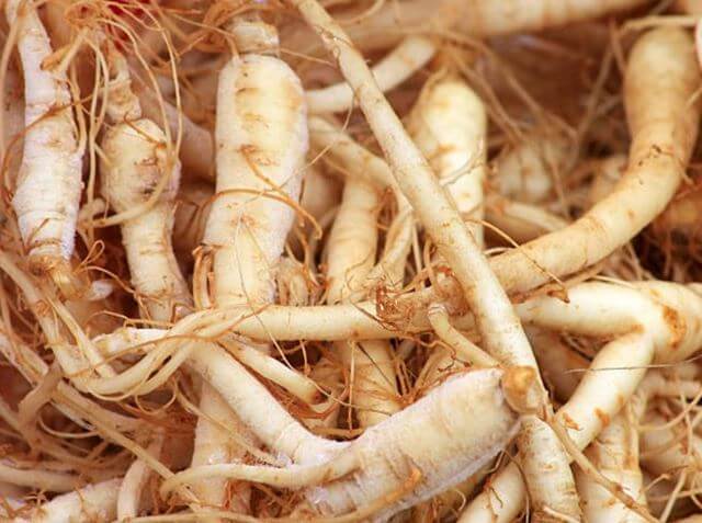 sagligagel-ginseng-nedir-nasil-kullanilir-ve-ginseng-nedir-cinsel-5-etkisi9