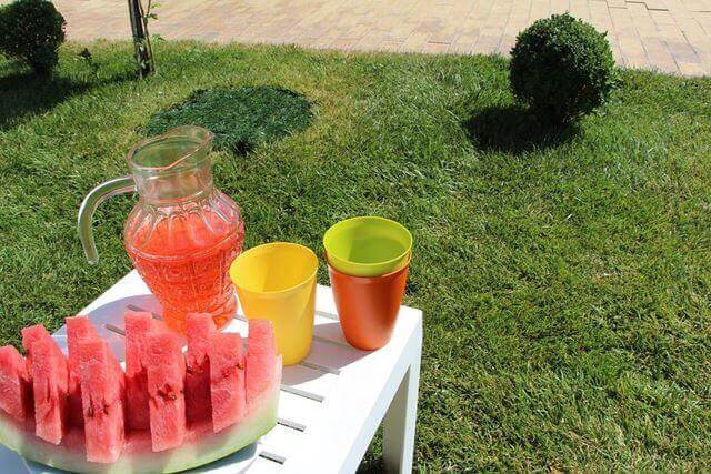 sagligagel-karpuzlu-limonata-yapimi-ve-serinleten-3-karpuzlu-limonata-tarifi4