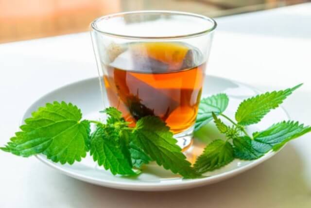 sagligagel-7-baslikta-isirgan-otu-cayinin-faydalari-nedir-2