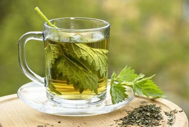 sagligagel-7-baslikta-isirgan-otu-cayinin-faydalari-nedir-3