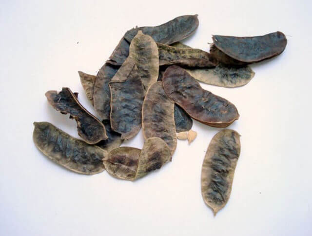 sagligagel-aclik-otu-nedir-5