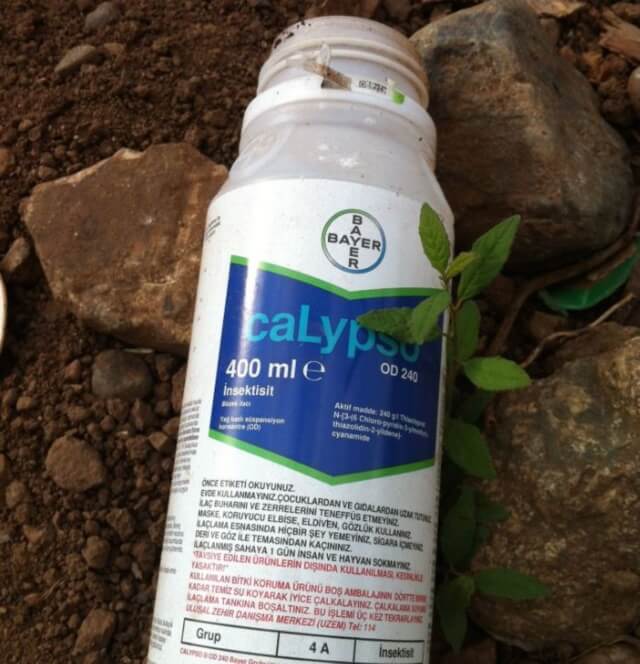 sagligagel-calypso-ilac-fiyat-2023-1