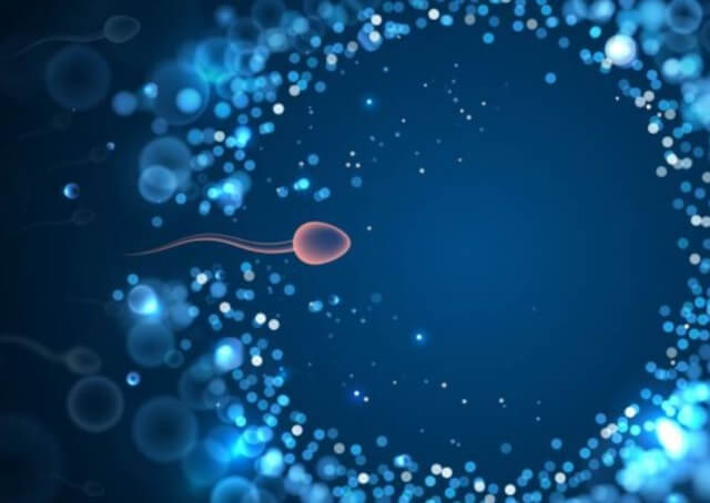 sagligagel-sperm-kalitesi-nasil-artar-1