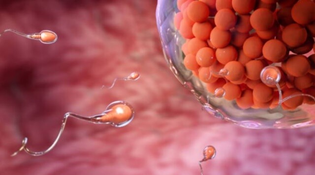 sagligagel-sperm-kalitesi-nasil-artar-2