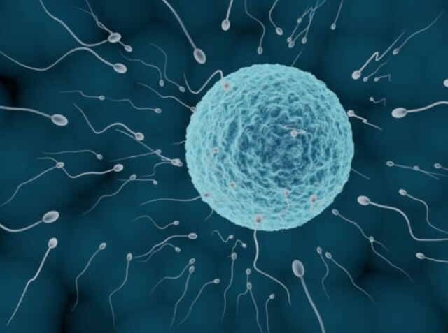 sagligagel-sperm-kalitesi-nasil-artar-5