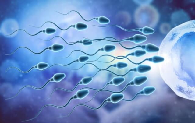 sagligagel-sperm-kalitesi-nasil-artar-7