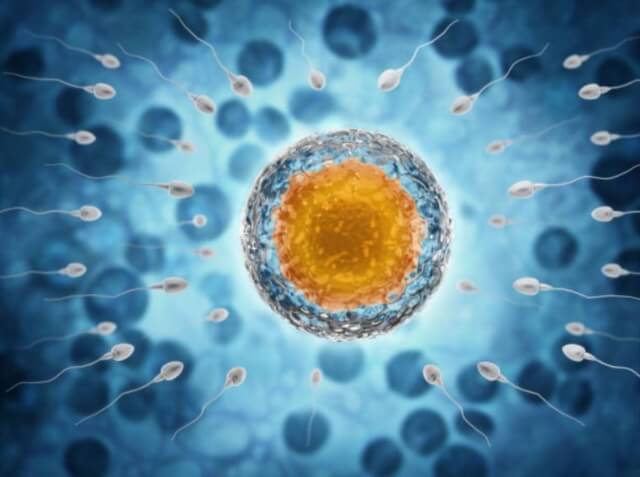 sagligagel-sperm-kalitesi-nasil-artar-8