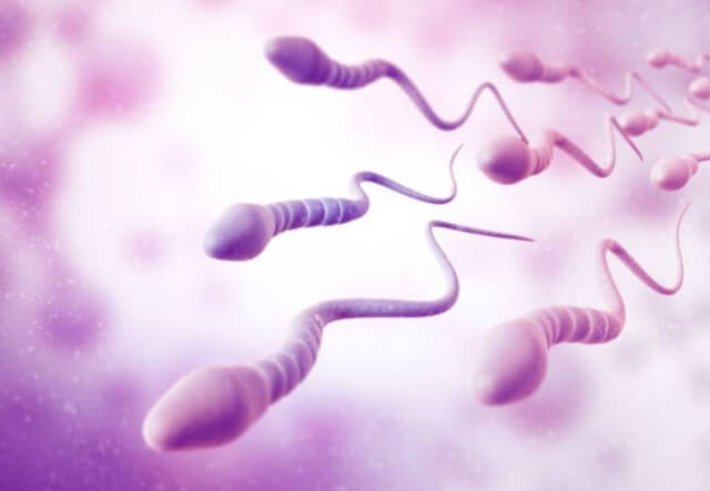 sagligagel-sperm-kalitesi-nasil-artar-9