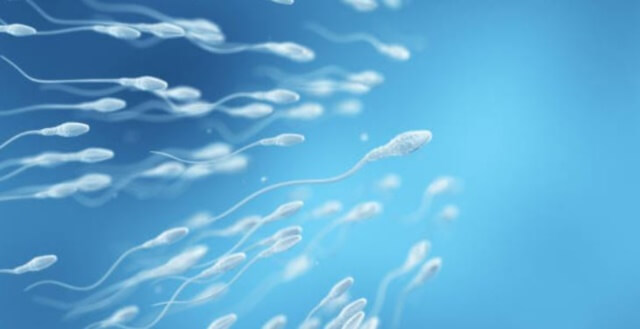 sagligagel-sperm-kalitesi-nedir-0