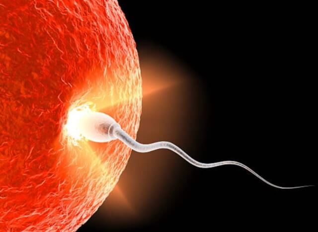 sagligagel-sperm-kalitesi-nedir-2
