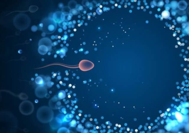 sagligagel-sperm-kalitesi-nedir-3