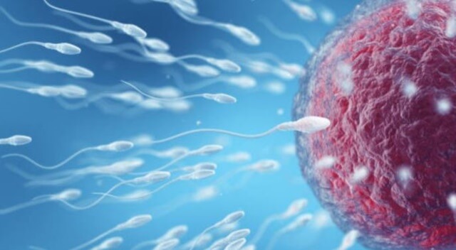 sagligagel-sperm-kalitesi-nedir-4