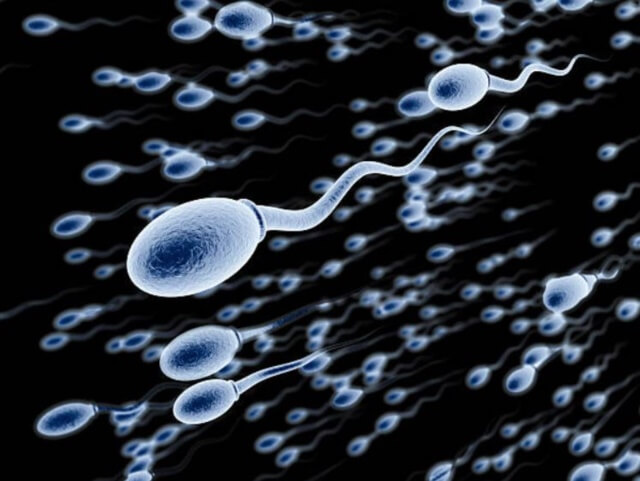 sagligagel-sperm-kalitesi-nedir-9