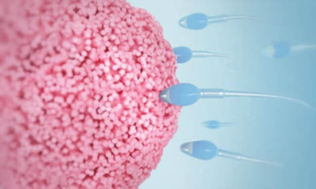 sagligagel-sperm-kalitesi-nedir