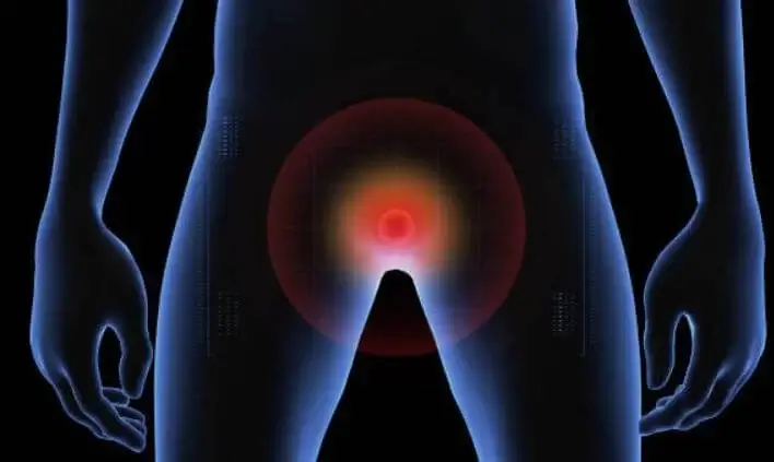 sagligagel-penis-mantari-ilac-isimleri-1