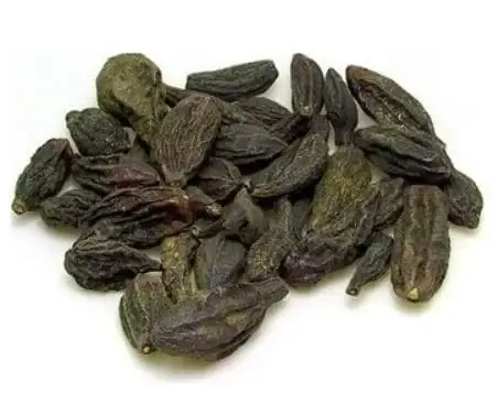sagligagel-kara-halile-fiyati-3