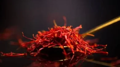 sagligagel-safran-fiyati